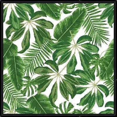 Тропические листья монстеры