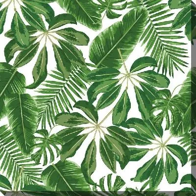 Тропические листья монстеры