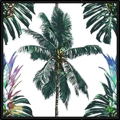 Пальма и монстера