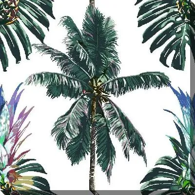 Пальма и монстера