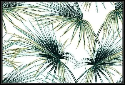 Листья пальмы №2