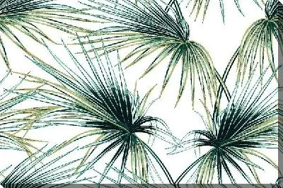 Листья пальмы №2