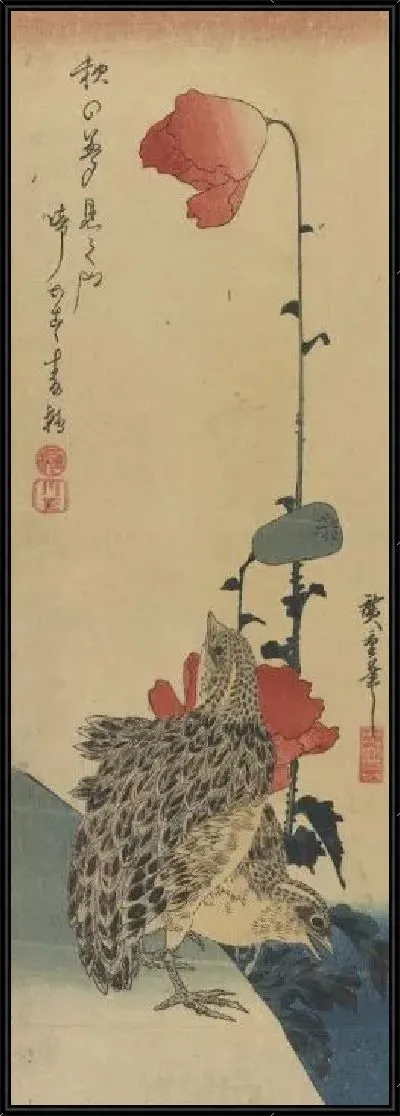 Картина Перепела и маки (Quail and poppies)