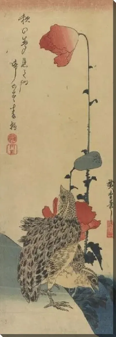 Картина Перепела и маки (Quail and poppies)