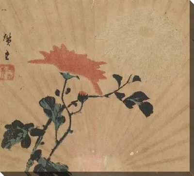 Хризантемы (Fan print: Chrysanthemums)