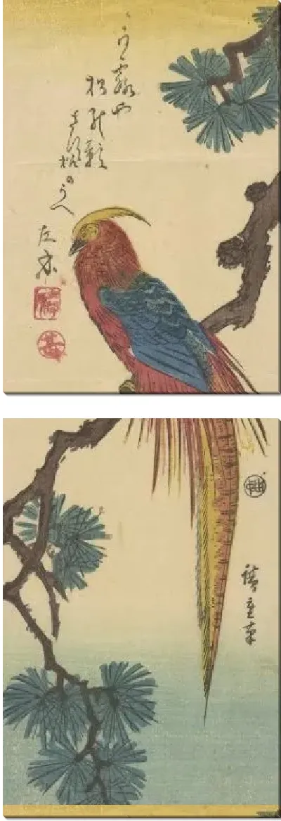 Картина Золотой фазан (Kinkaicho (Golden Pheasant))