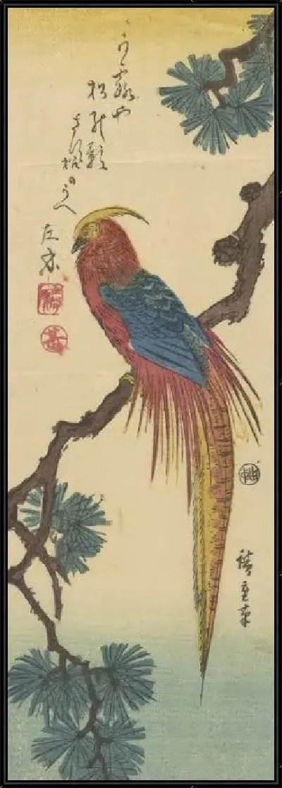 Картина Золотой фазан (Kinkaicho (Golden Pheasant))