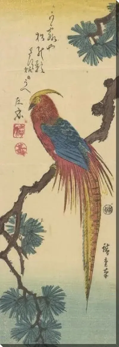 Картина Золотой фазан (Kinkaicho (Golden Pheasant))