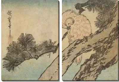 Картина Попугай на сосне (Parrot in a pine tree)