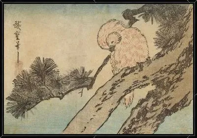 Попугай на сосне (Parrot in a pine tree)