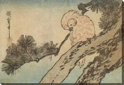 Попугай на сосне (Parrot in a pine tree)