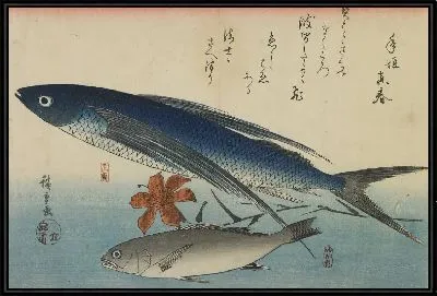 Летающая рыба и белый горбыль (1840-1842) (Flying fish (tobiuo) and white croaker (ishimochi), from the second series of fish prints)