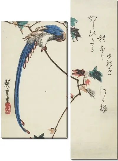 Картина Синяя сорока на ветке клена (1797-1858) (Blue magpie on maple branch)