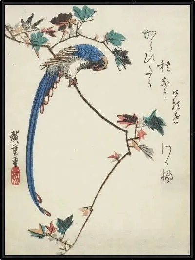 Картина Синяя сорока на ветке клена (1797-1858) (Blue magpie on maple branch)