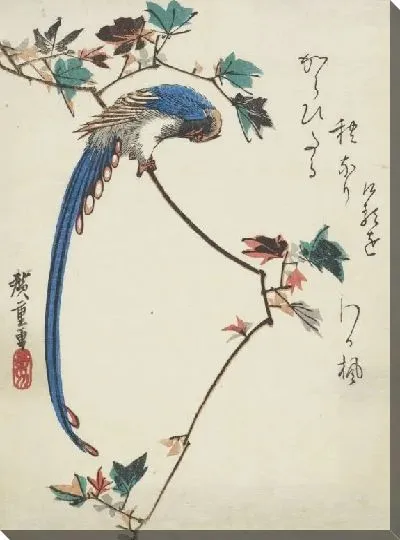 Картина Синяя сорока на ветке клена (1797-1858) (Blue magpie on maple branch)