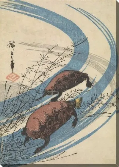 Картина Две черепахи (Two turtles)