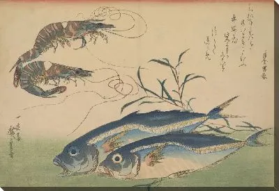 Картина Ставрида с креветкой (1832-1833) (Horse Mackerel (Aji) with Shrimp or Prawn, with inscription)