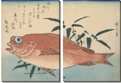 Картина Красный окунь с бамбуковой травой (1832-1833) (Red rockfish (Akodai) with Bamboograss, with inscription)