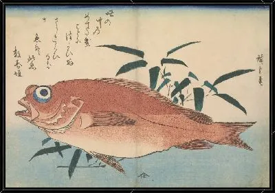 Красный окунь с бамбуковой травой (1832-1833) (Red rockfish (Akodai) with Bamboograss, with inscription)