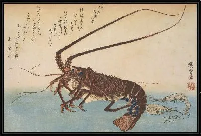 Картина Креветки (1832-1833) (Woodblock print from the Large Fish Series: Ise-ebi: Crawfish or Spiny Lobster and Ebi: shrimp)