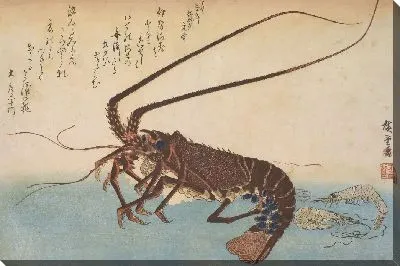 Картина Креветки (1832-1833) (Woodblock print from the Large Fish Series: Ise-ebi: Crawfish or Spiny Lobster and Ebi: shrimp)