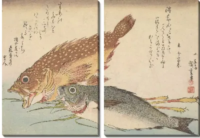 Картина Мраморный окунь и химедия (1832) (Kasago (Sebasticus marmoratus) Marbled Rockfish and Himedai (Pristipomoides sieboldii))