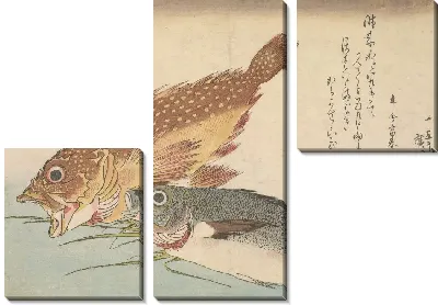 Картина Мраморный окунь и химедия (1832) (Kasago (Sebasticus marmoratus) Marbled Rockfish and Himedai (Pristipomoides sieboldii))