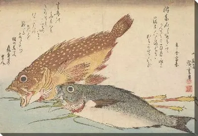 Картина Мраморный окунь и химедия (1832) (Kasago (Sebasticus marmoratus) Marbled Rockfish and Himedai (Pristipomoides sieboldii))