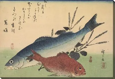 Картина Рыбы (1832) (Suzuki (Lateolabrax japonicus) Japanese seaperch and Kimmedai (Beryx splendens) Alfosino)