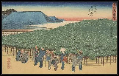 Картина Адачичо (Adachicho Nanbaya no matsu, from the series, Naniwa meisho zue)