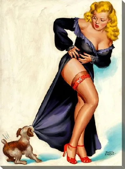 Постер Девушка в халате, который грызёт собака