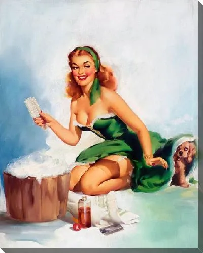 Постер Девушка купает собаку