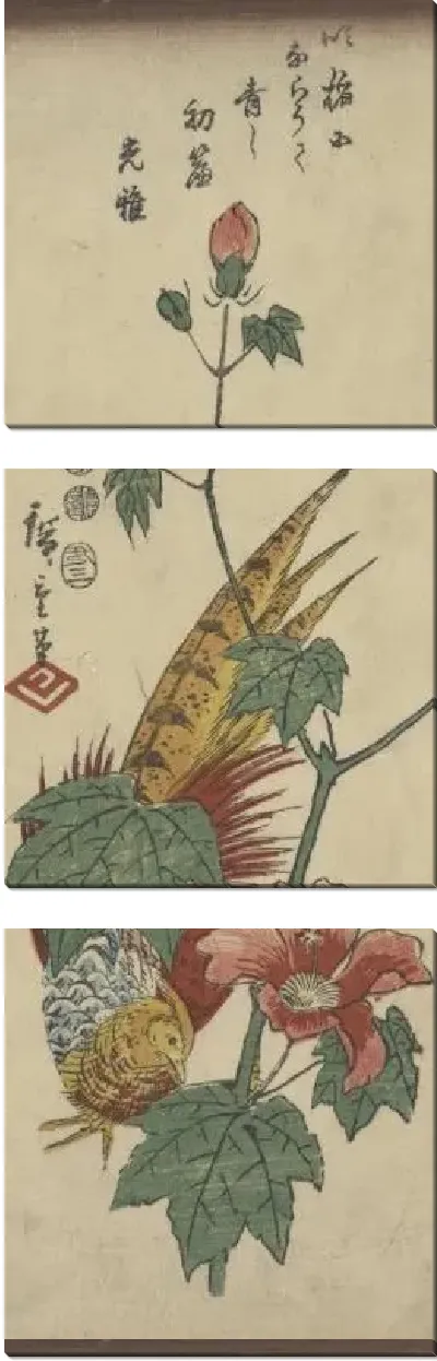 Картина Золотой фазан и гибискус (1797-1858)