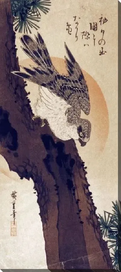 Картина Ястреб на сосне (Hawk on a Pine Tree)