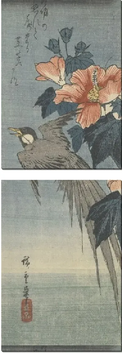 Картина Длиннохвостая птица и гибискус (1830) (Long-Tailed Bird and Hibiscus)