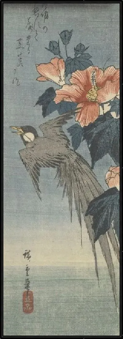 Картина Длиннохвостая птица и гибискус (1830) (Long-Tailed Bird and Hibiscus)