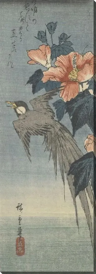 Картина Длиннохвостая птица и гибискус (1830) (Long-Tailed Bird and Hibiscus)