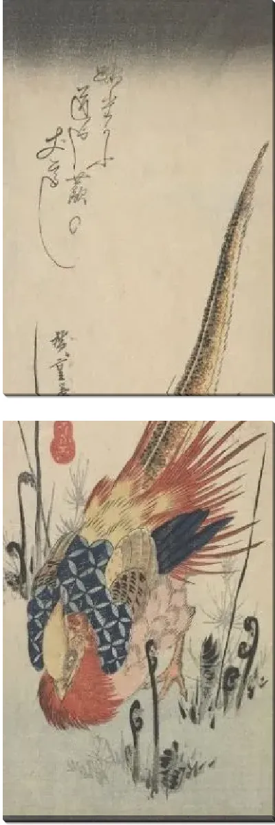Картина Золотой фазан среди папоротников (1830) (Golden pheasant among fern shoots)