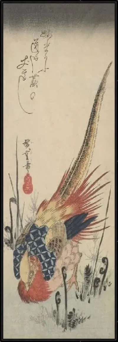 Картина Золотой фазан среди папоротников (1830) (Golden pheasant among fern shoots)