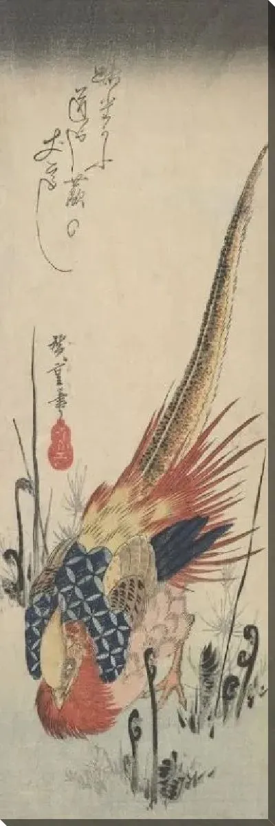 Картина Золотой фазан среди папоротников (1830) (Golden pheasant among fern shoots)