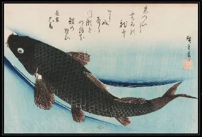 Карп (1850) (Carp)