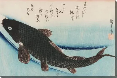 Карп (1850) (Carp)