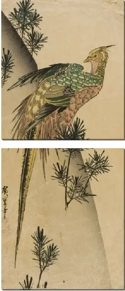 Картина Фазан над сосновым лесом (1832-1834) (Pheasant on Pine-covered Cliff)