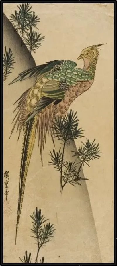 Картина Фазан над сосновым лесом (1832-1834) (Pheasant on Pine-covered Cliff)