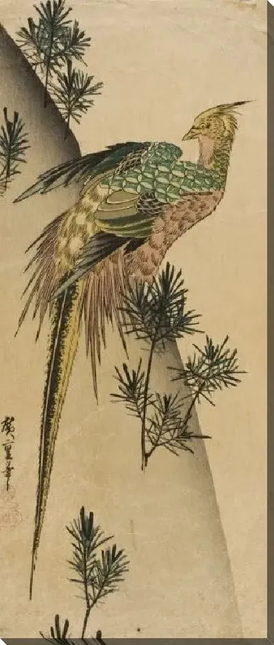 Картина Фазан над сосновым лесом (1832-1834) (Pheasant on Pine-covered Cliff)
