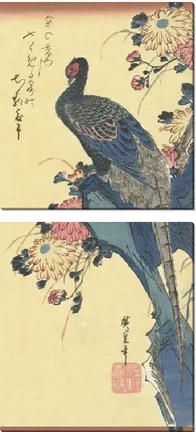 Картина Фазан (1833-1837) (Fazant en chrysanten)
