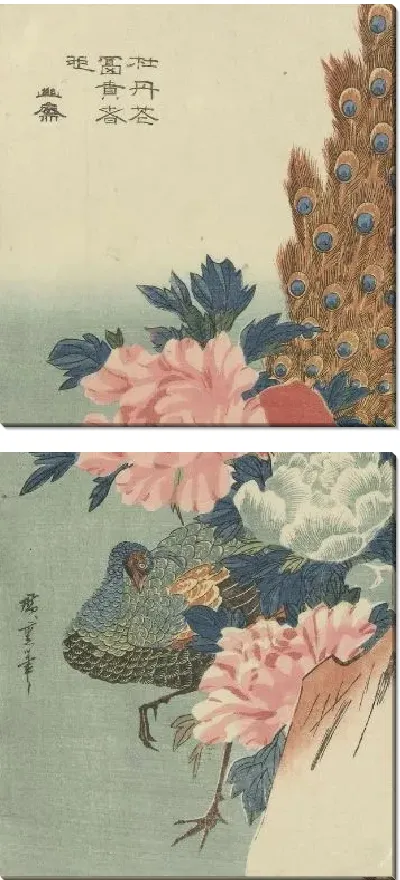 Картина Павлин и пионы (1833-1837) (Pauw en pioenrozen)