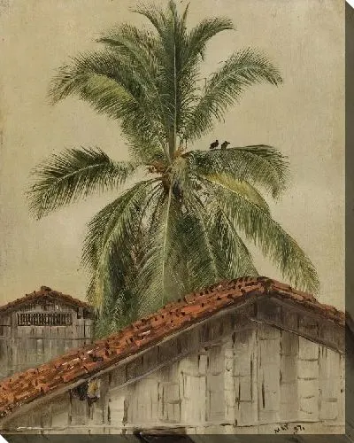 Картина Пальмы (1857) (Palm Trees and Housetops, Ecuador)
