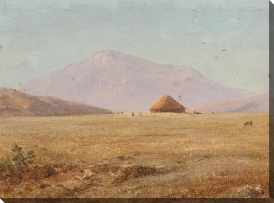 Картина Горное плато с хижиной (1890) (Ecuador ?, mountain plateau with hut)