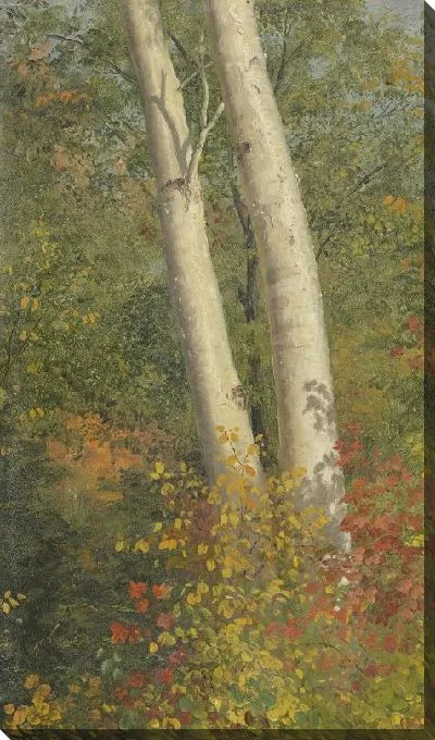 Картина Березы осенью (1865) (Birch Trees in Autumn)